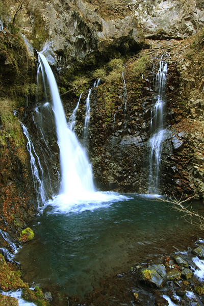 _MG_2884.JPG