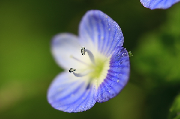 _MG_4975.JPG