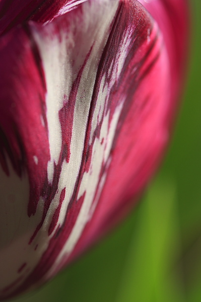 _MG_5965.JPG