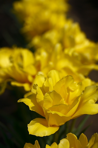 _MG_6143.JPG