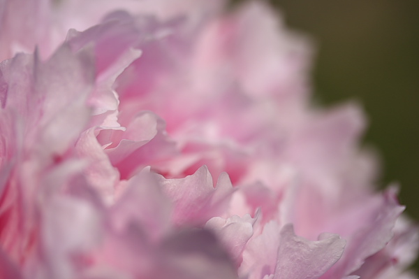 _MG_6318.JPG