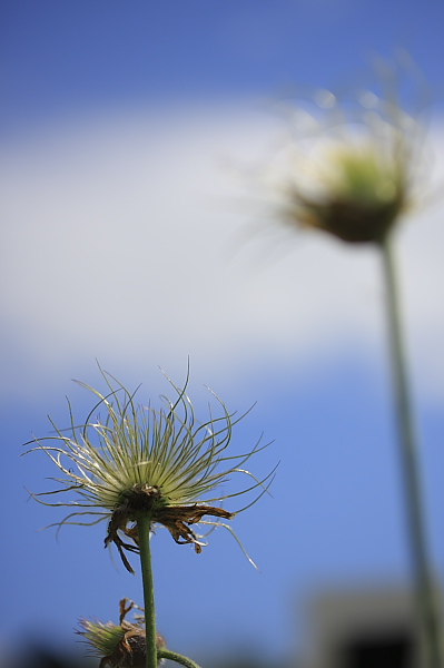 _MG_6488.JPG
