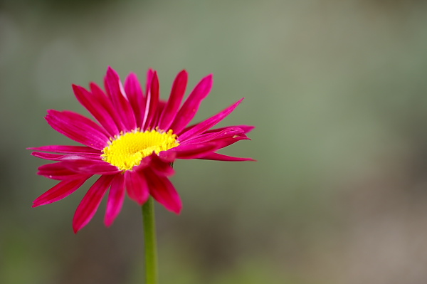 _MG_6603.JPG