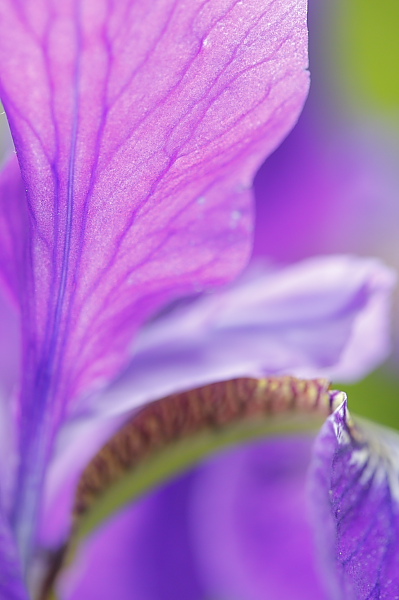 _MG_6728.JPG