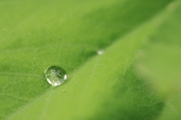 _MG_6800.JPG