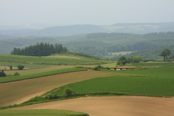 _MG_7493.JPG