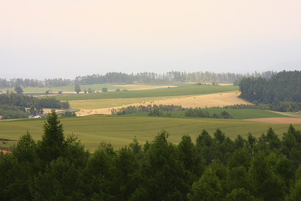 _MG_7495.JPG