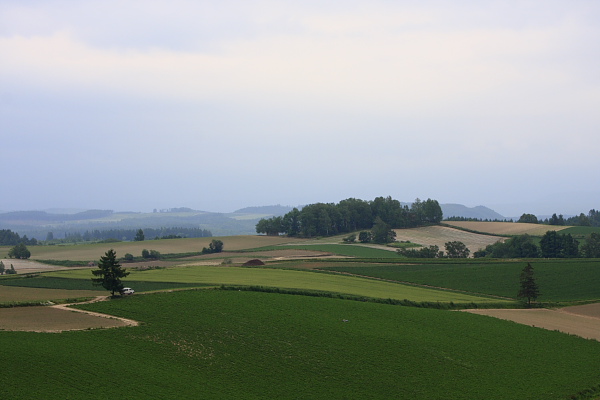 _MG_7504.JPG