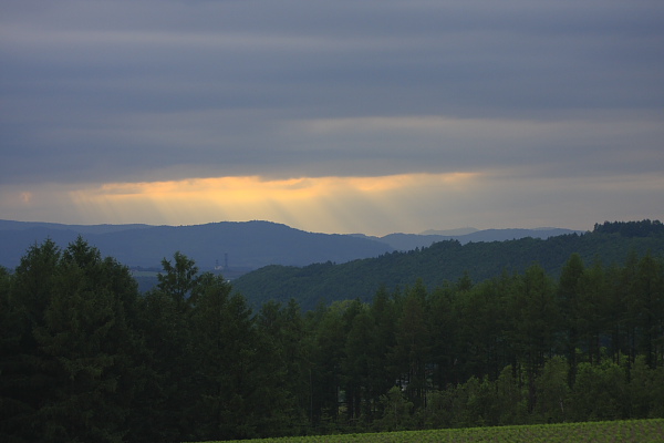_MG_7512.JPG
