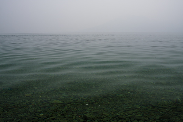 _MG_7648.JPG