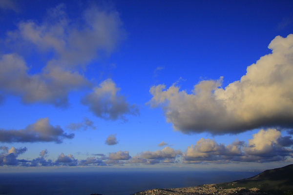 _MG_9032.JPG